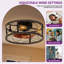  20 Inch Caged Ceiling Fan With Lights And Remote