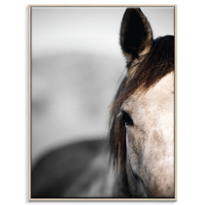 Horse 3 1 Piece Single Picture Frame and Floater Frame Wall Art on Canvas