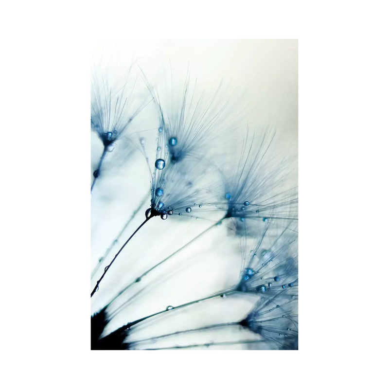 Misty Blue II- Gallery-Wrapped Canvas Giclée, 18" H x 12" W