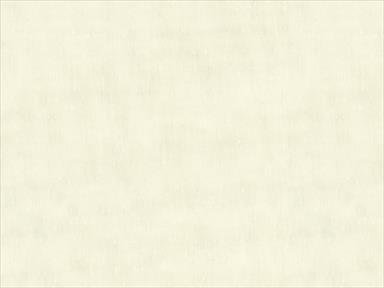 Basics Fabric, White