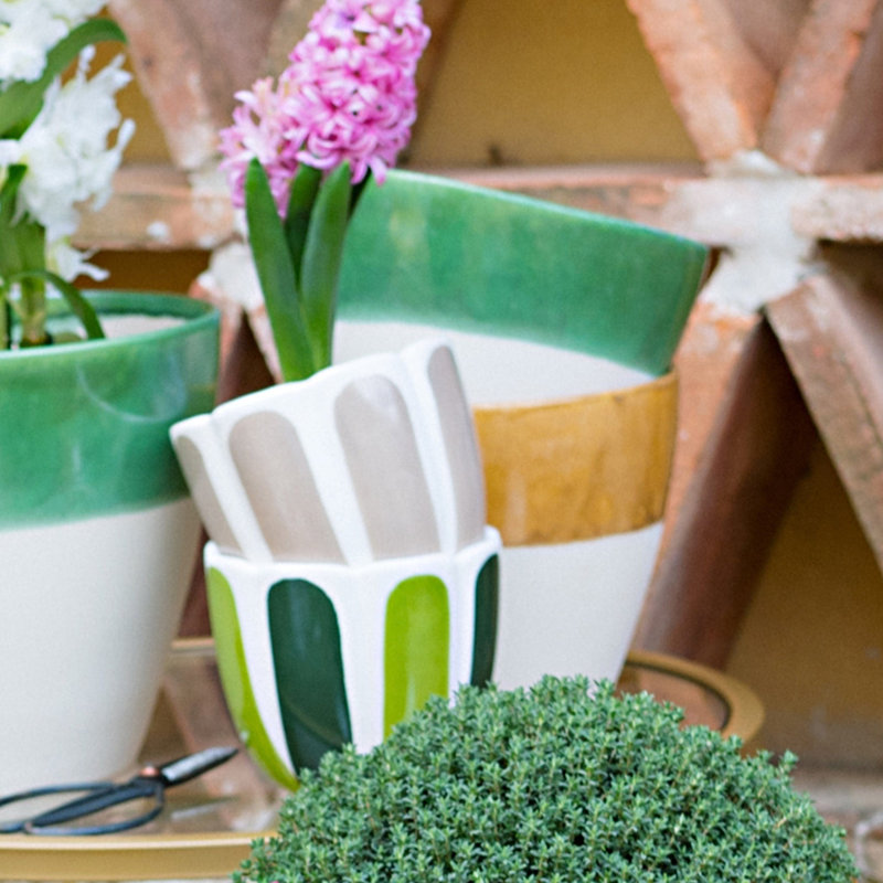 Viva Garden Reactive Cachepot, 6.5" H x 7.25" W x 7.25" D, Green