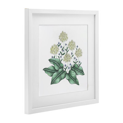 «Hello Wildflower», reproduction rétro encadrée sous verre, par Cecilia Battaini