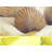 Starfish & Seashells Polyester Placemat | Beach Home Decor