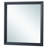 Primo 36"L x 36"H Mirror, Black-2094338529