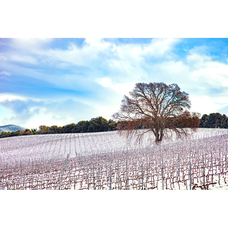 Vineyards Covered by Snow 1 Piece Wrapped Canvas Wall Art, 30cm H x 46cm W