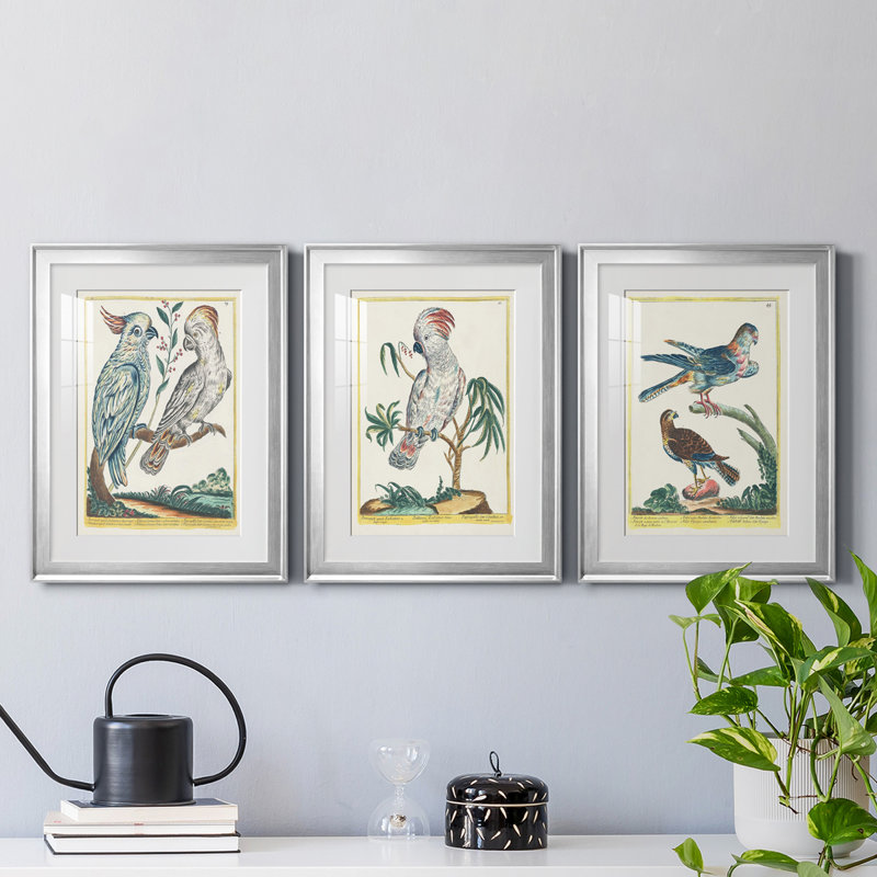 «Pastel Birds I», reproduction encadrée de qualité supérieure - prête à être accrochée, Cadre argenté, Blanc