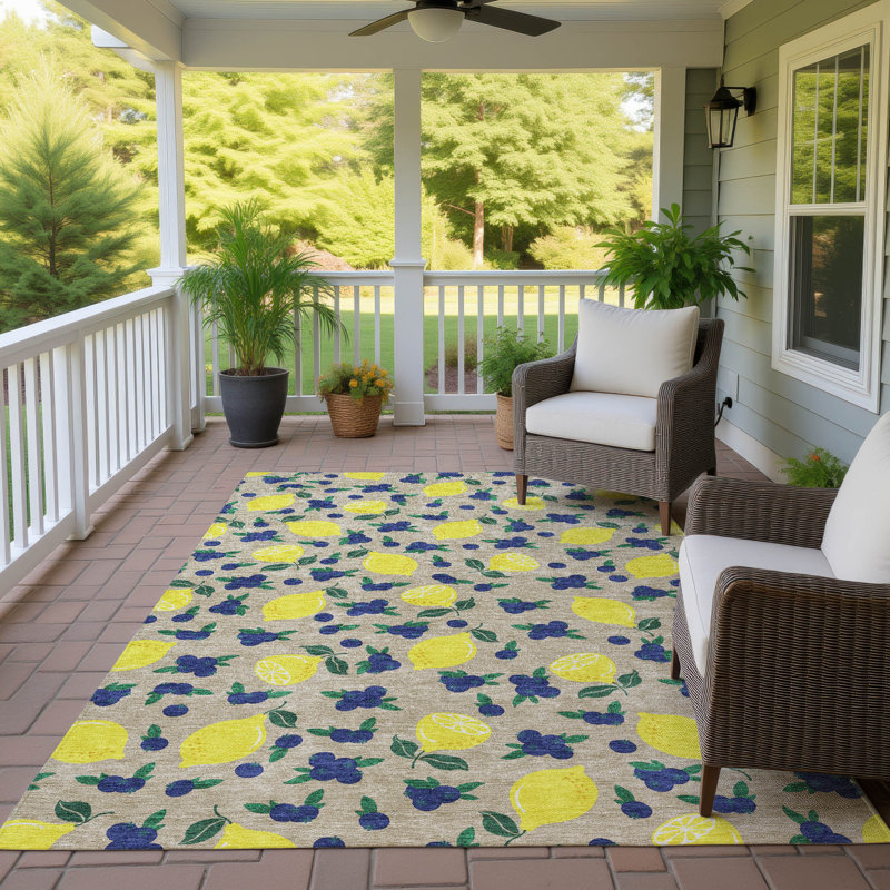 Machine Washable Indoor/Outdoor Chantille ACN2354 Fruits Rug, Rectangle 10' x 14'