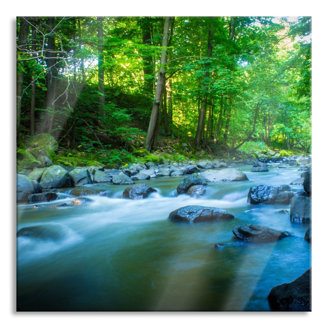 Glasbild Fluss im Wald mit Steinen