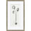 Pods Giclee Print by Susan Hable