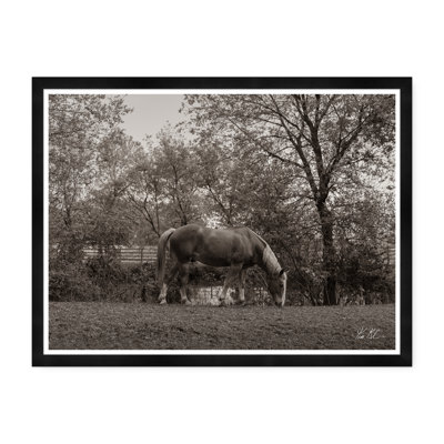 Grazing IV Print by Tim Klein