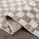 Jasha Checkered Beige/Brown Area Rug