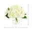 Hortensias dans un vase en verre-68378897-106608501