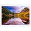 Dan Ballard - Wrapped Canvas Print-34180269