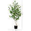 Faux bouleau en pot-945615835