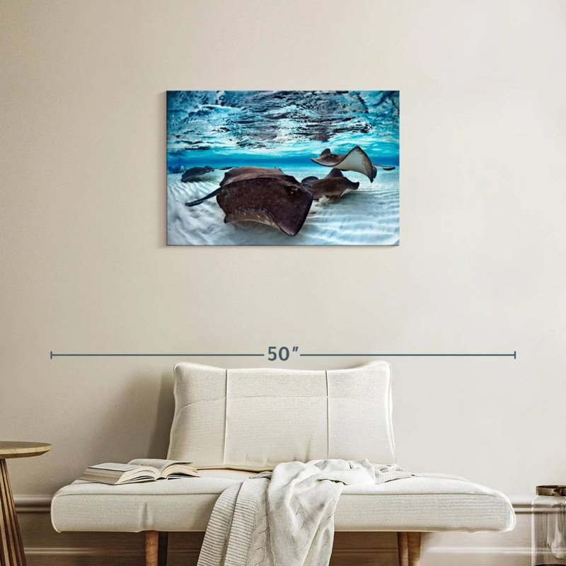 Brampt Stingrays Sea Life, 20" H x 30" W