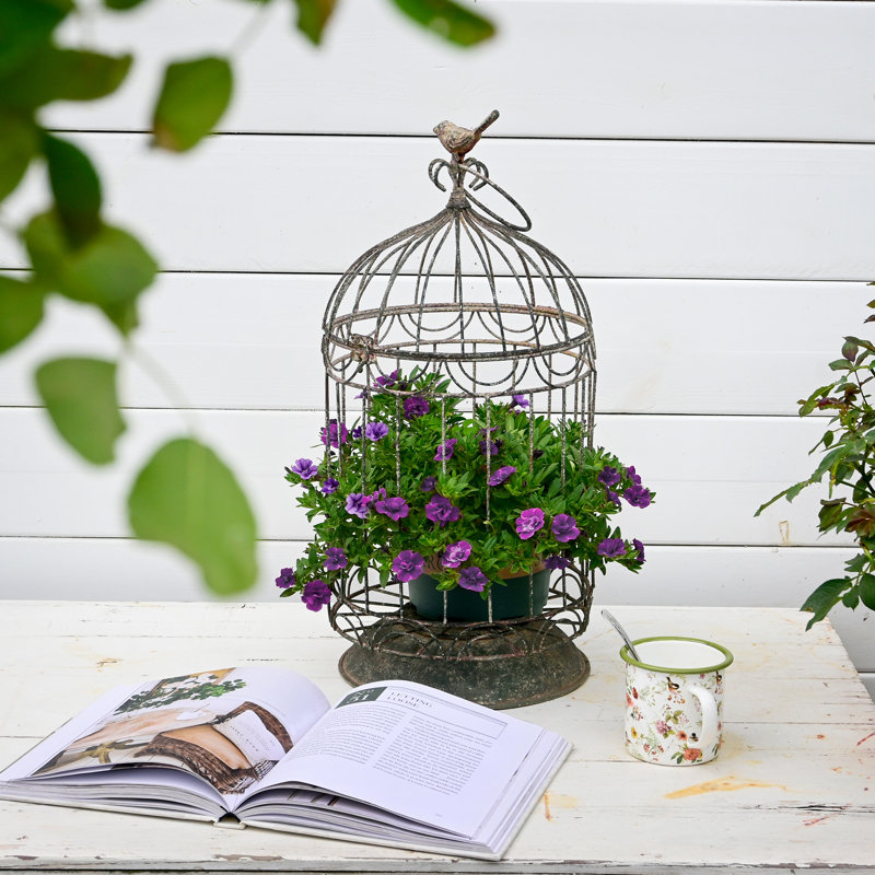 Rustic Vintage Birdcage Planter Holder Farmhouse Distressed Decorative Metal Round Plants Stand with Latch Lock Closure and Hanging Hook for Table Garden Patio Home Indoor Outdoor Centerpiece 