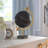 Metal Tabletop Globe-24388579