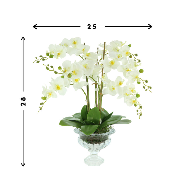 Orchid Floral Arrangement in Vase
