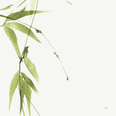 " Bamboo V Green " by Chris Paschke