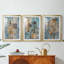 FLORAL Series XLIX - Impression sur mesure encadrée de qualité supérieure - 3 pièces-239198001-239198004