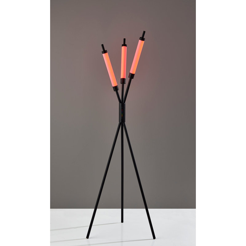 Barcelo 62.5'' Black LED Tripod Floor Lamp