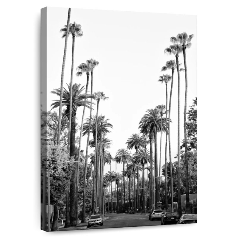 Palmiers Aime - Californie - Los Angeles, H 24 po x l 16 po