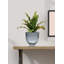 Bol décoratif en verre Verrill