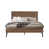 Chestnut Brown 