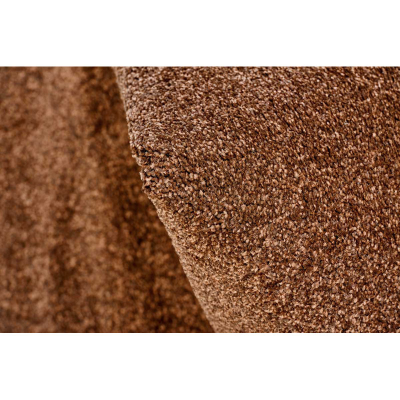 Oeder Solid Colour Area Rug, Rectangular 160 x 220cm
