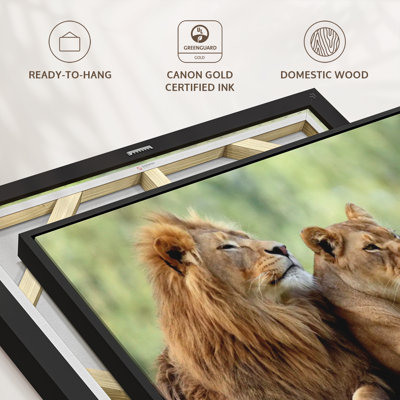 Animal «Couple de lion, art mural»