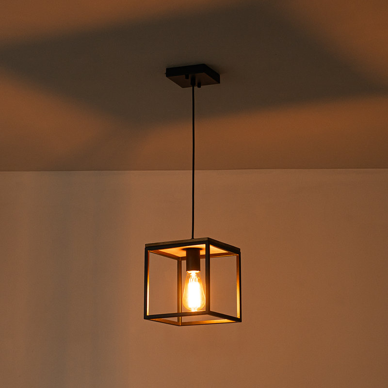 Luminaire suspendu cage industriel 1 lumière