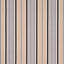 Minzer Cotton Stripe Fabric