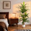 Arbre 59 po Dracaena artificiel avec pot en PP blanc gratuit - plante verte pour la décoration intérieure de la maison, du bureau et du salon