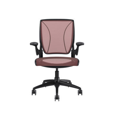 World Mesh Task Chair