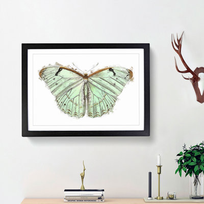 Laertes Butterfly by George Shaw - Framed Print