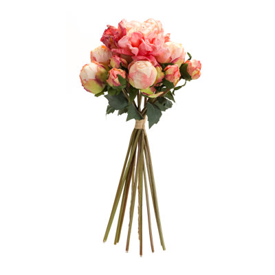 Tiges de pivoines, buissons et jets