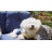 Meikel 49'' Wide Straight Wicker Loveseat with Cushions-700311640