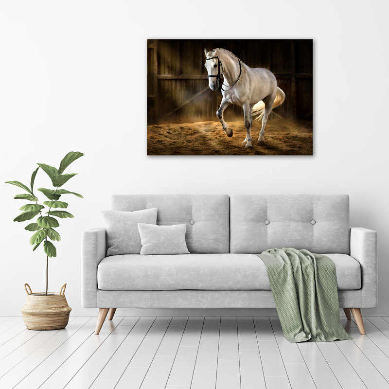 White Horse In The Stable - No Frame Print on Glass