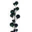 Guirlande Vickerman-120209554