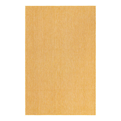 Indoor / Outdoor Rug