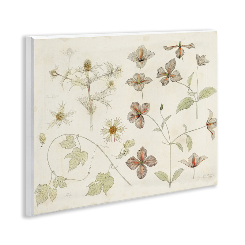 Plaque murale Nature Botanical Study, design par Julie de Graag