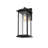Araceli Outdoor Wall sconce in Black-229061013