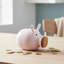 Ceramic Piggy Bank-809309867