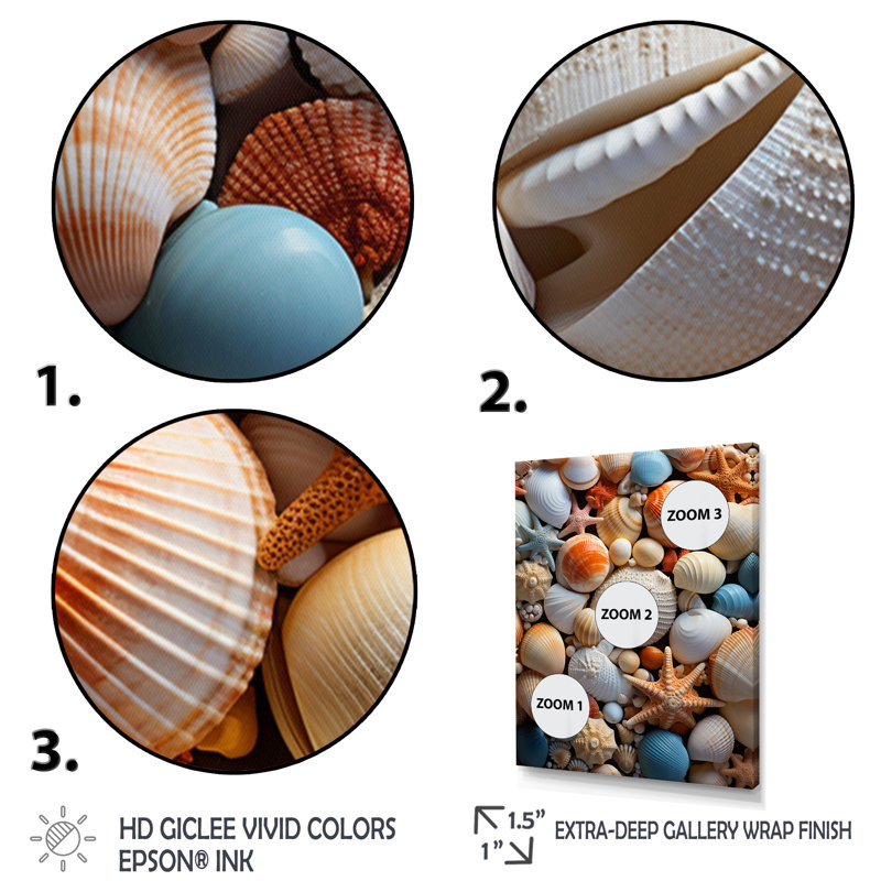 «Beach Photo Seashell Symphony VII - Coastal Animal», reproduction d'art mural, H 32 po x l 24 po x P 1 po