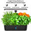 ScienGarden Grow Light-123050442