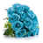 Turquoise sélectionné