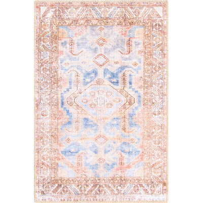 Mcclamma Chenille Oriental Indoor Rug