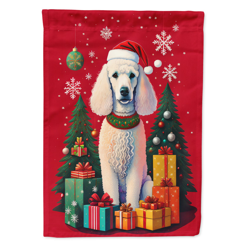 Drapeau de maison en polyester à 2 côtés 40 x 28 po