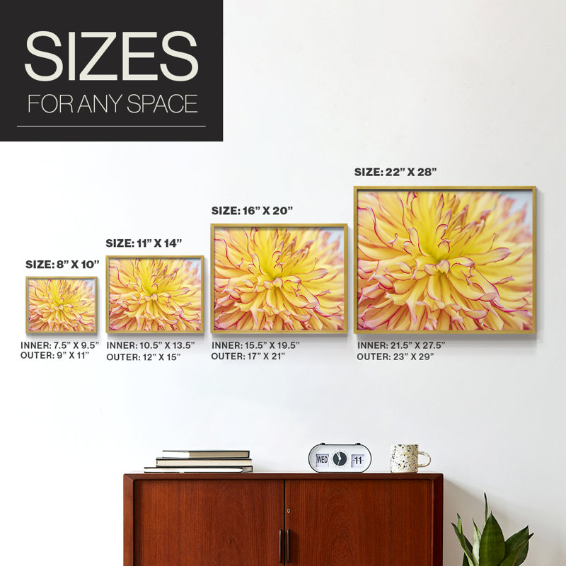 Blooms III -Framed Print - Restickable, 8" H x 10" W
