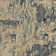 Mystique Abstract Area Rug in Gray